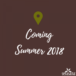 coming-winter-2018 coming-winter-2018